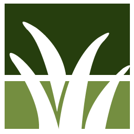 Yard Clean Up And Junk Removal Pros