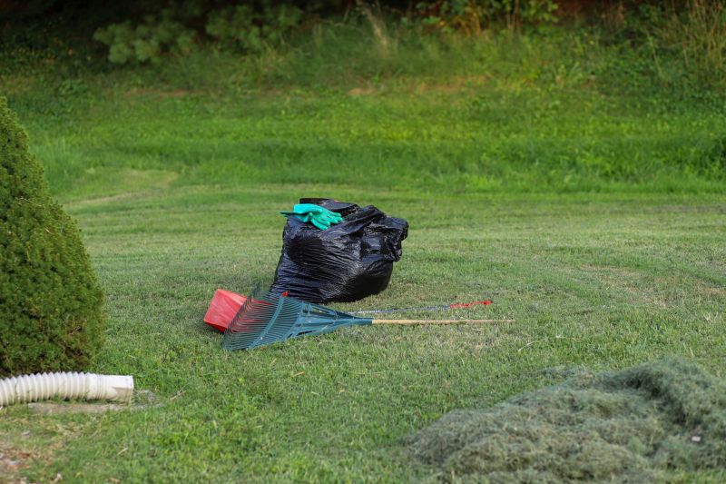 Yard Clean Up And Junk Removal