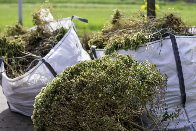 Yard Clean Up And Junk Removal