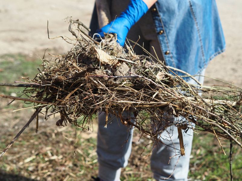 Brush Cleaning Service in Ventura County, CA