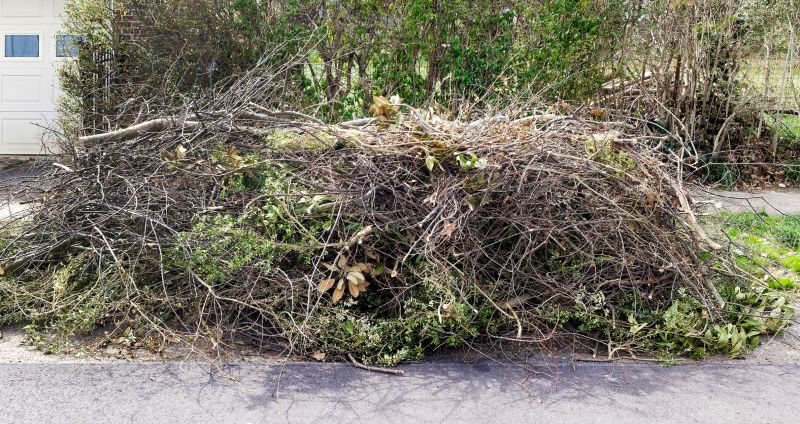 Fallen Branch Removal in Honolulu, HI