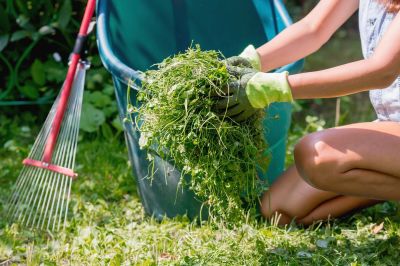 Lawn Cleanup Service in Honolulu, HI