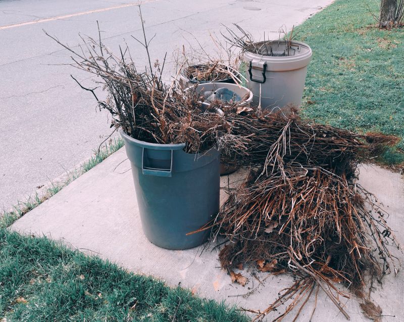 Lawn Waste Removal in Ventura County, CA