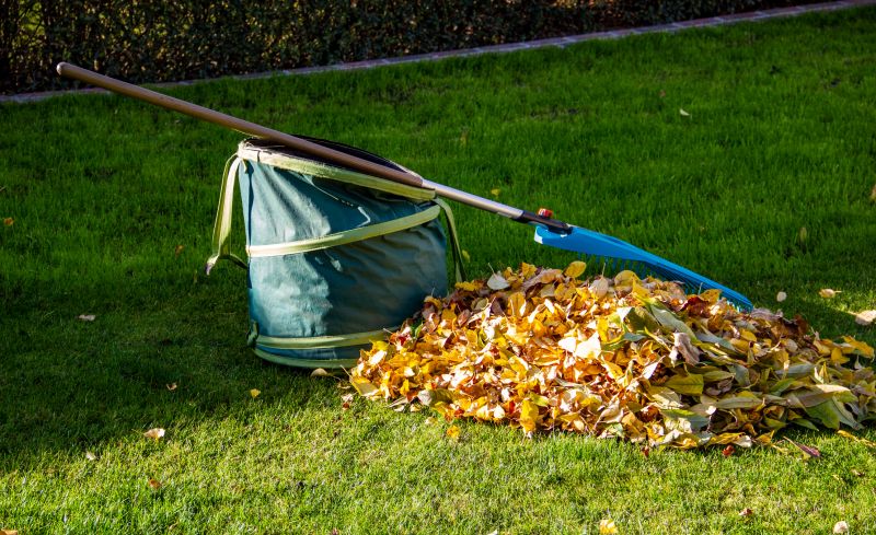 Lawn Waste Removal in Ventura County, CA