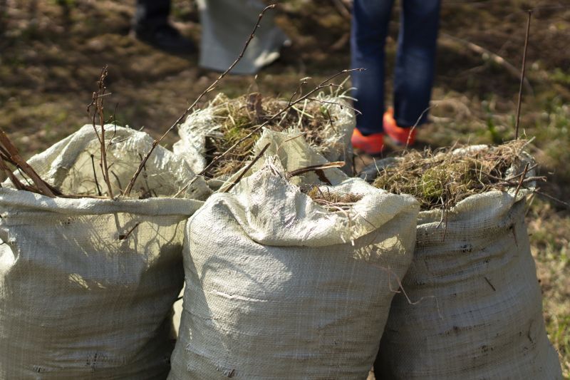 Yard Clean Up And Junk Removal